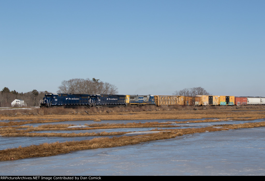 POAY 7561 at the Scarborough Marsh